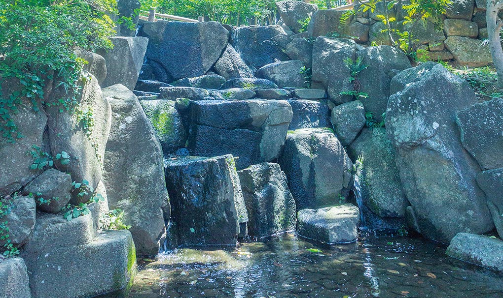 滝の根公園（約450m・徒歩6分）