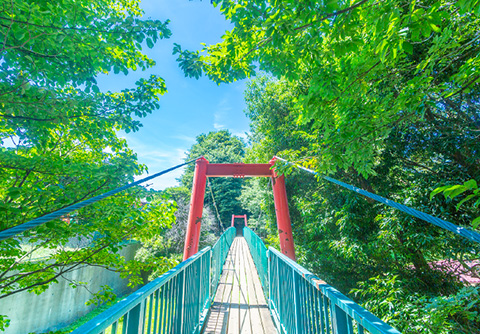 滝の根公園