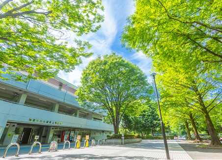 朝霞中央公園