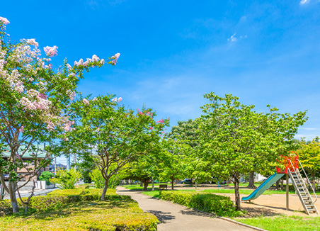 中道公園